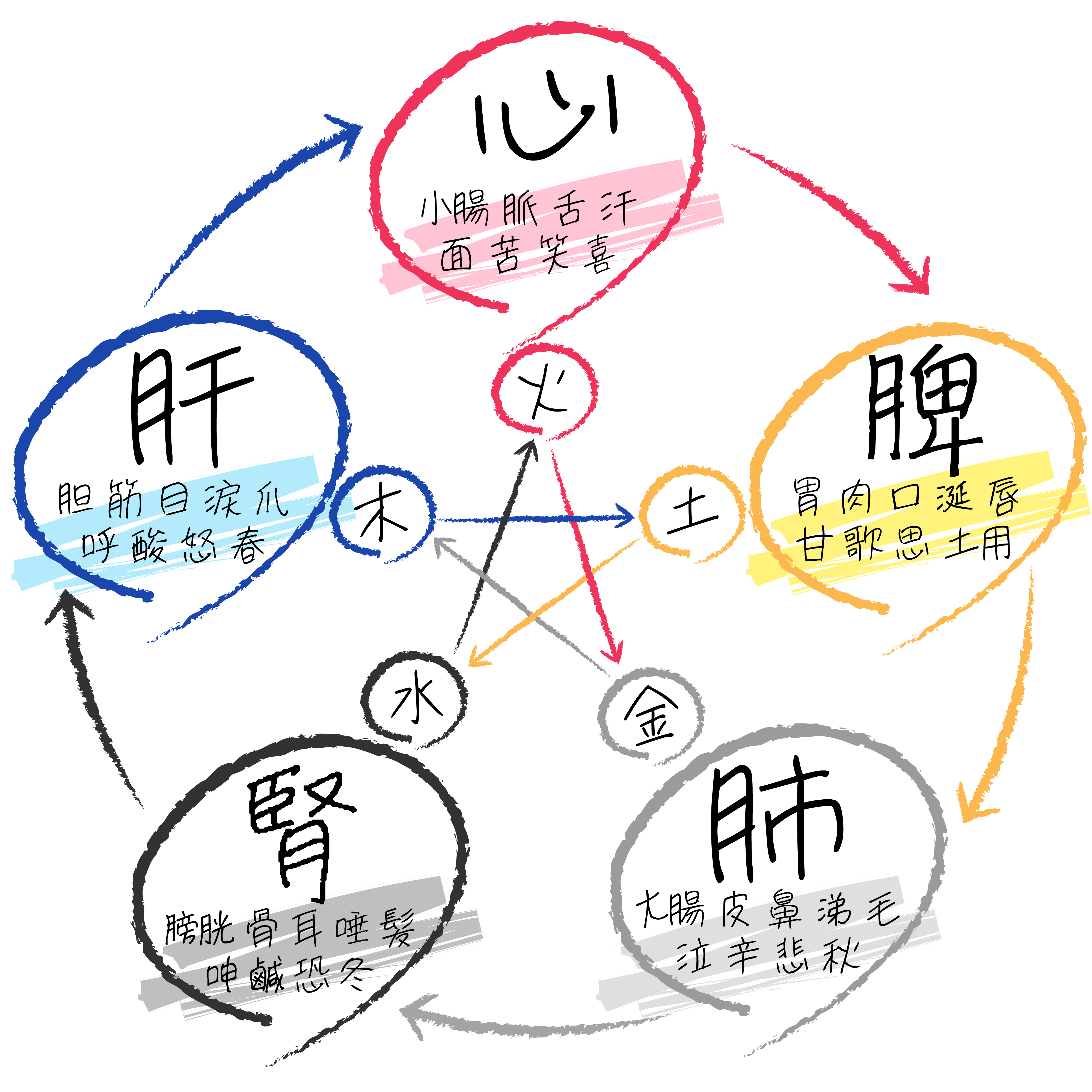 薬膳のプロが教える!花粉症を改善するための食養生／相川朋世